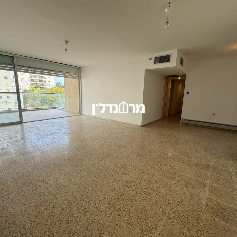 תמונה12