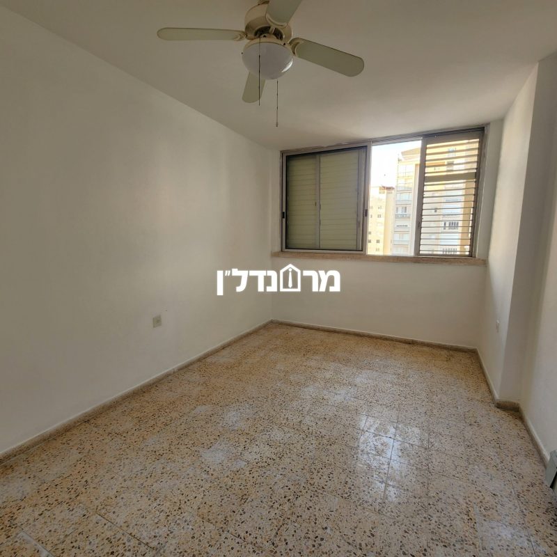 תמונה13