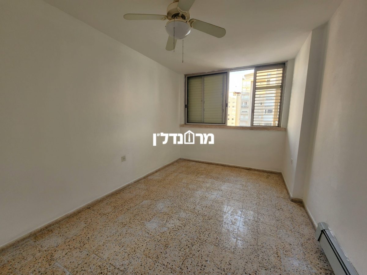 תמונה13