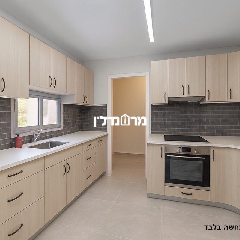 תמונה2