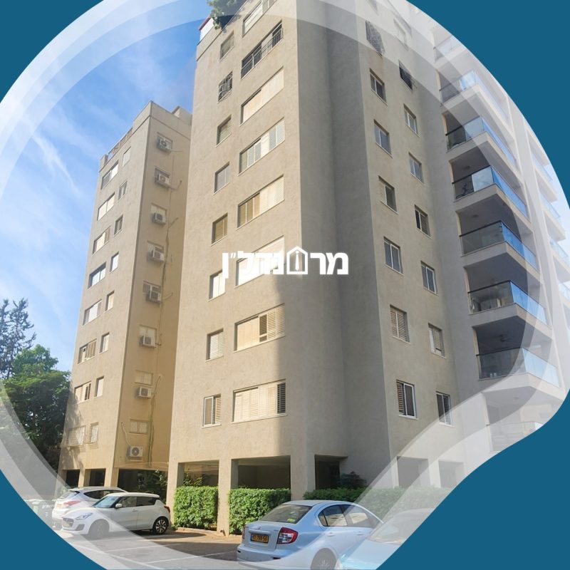 תמונה5