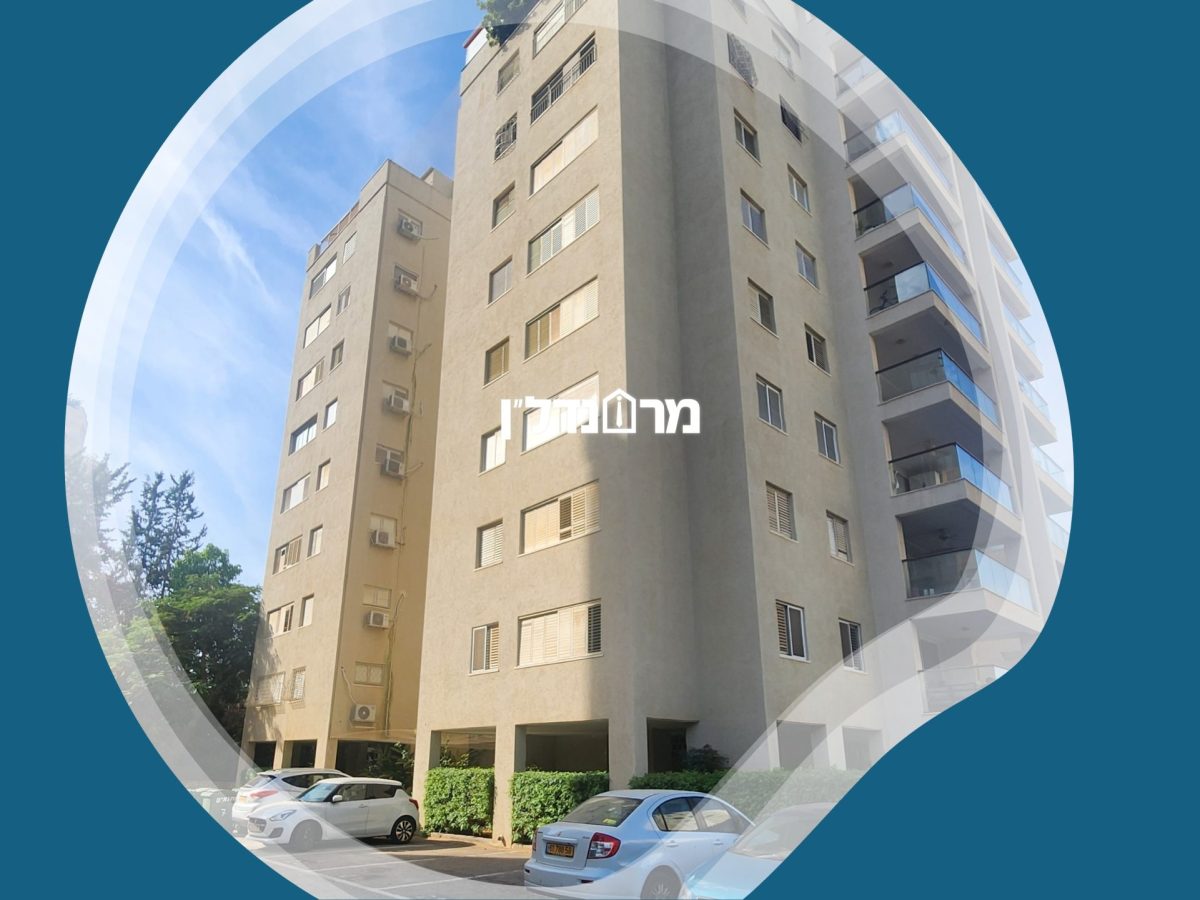 תמונה5