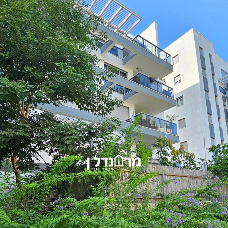 עותק של תמונה 3