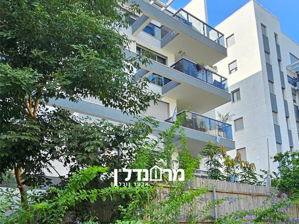 עותק של תמונה 3