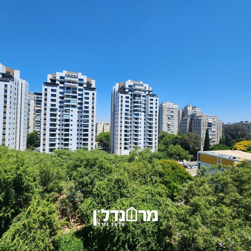 תמונה1
