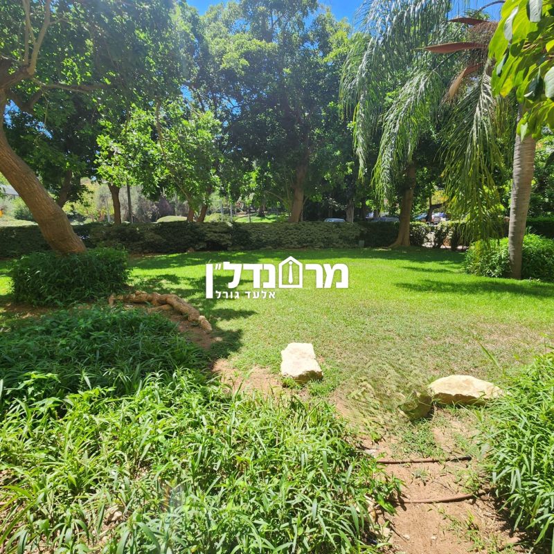 תמונה11