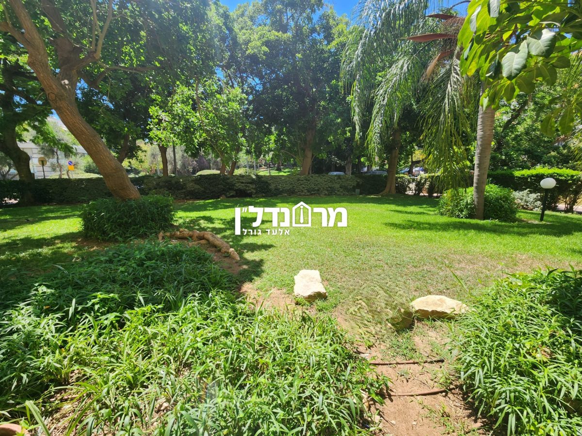 תמונה11