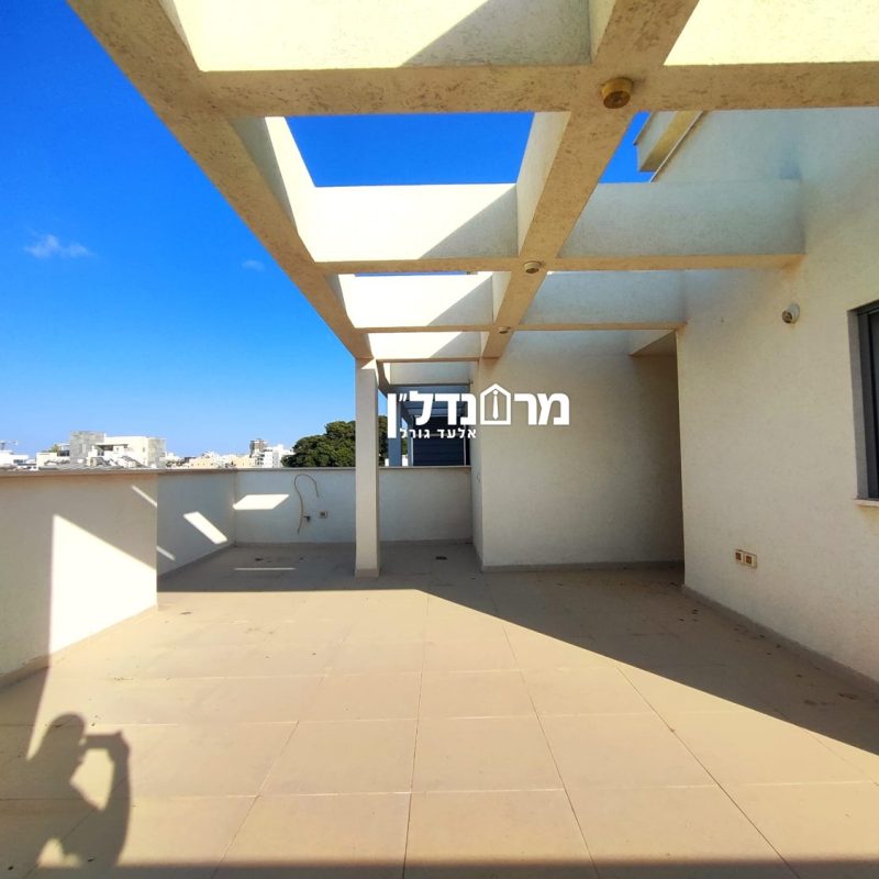 תמונה13