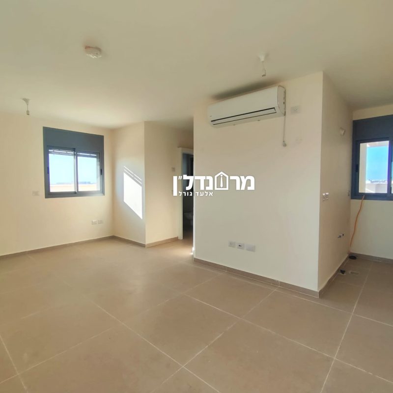 תמונה14