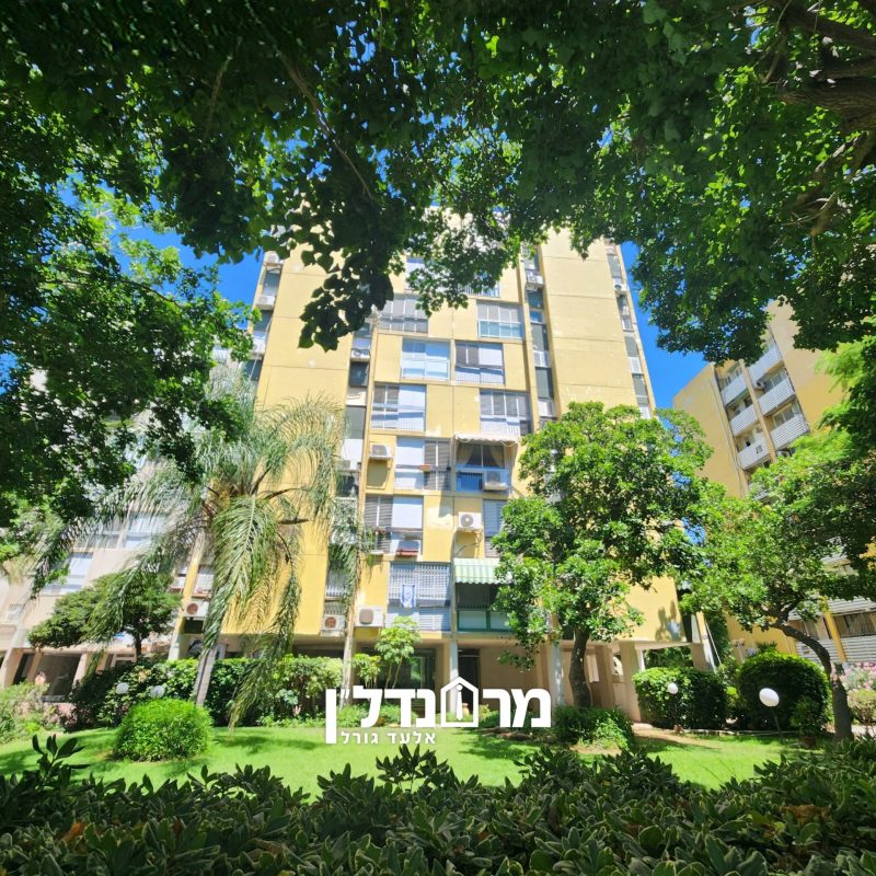תמונה15