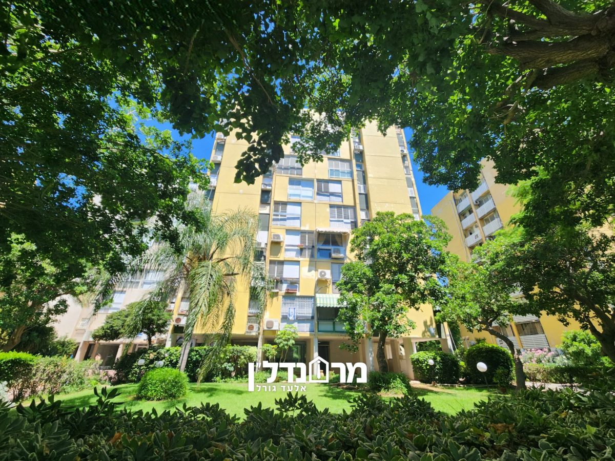 תמונה15