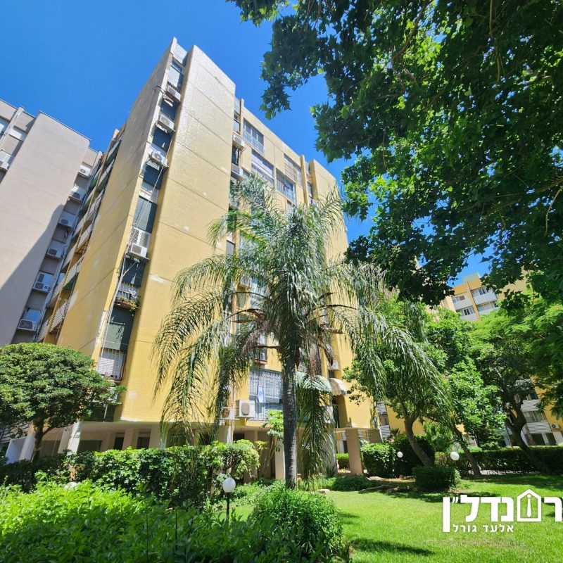 תמונה16