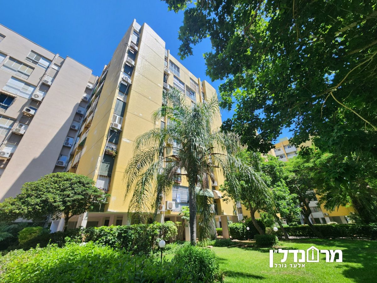 תמונה16