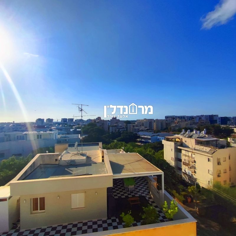תמונה16