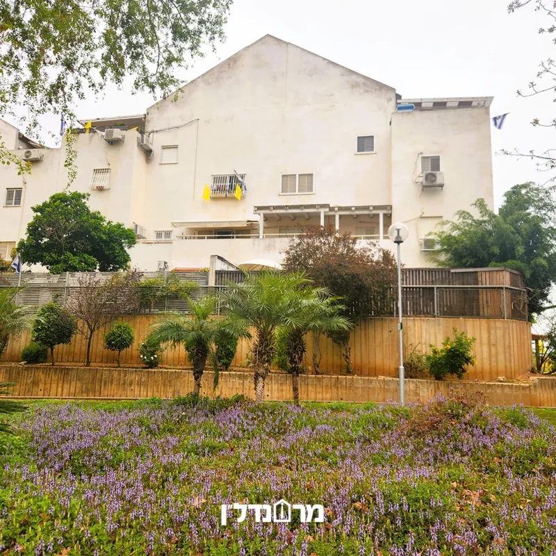 תמונה2