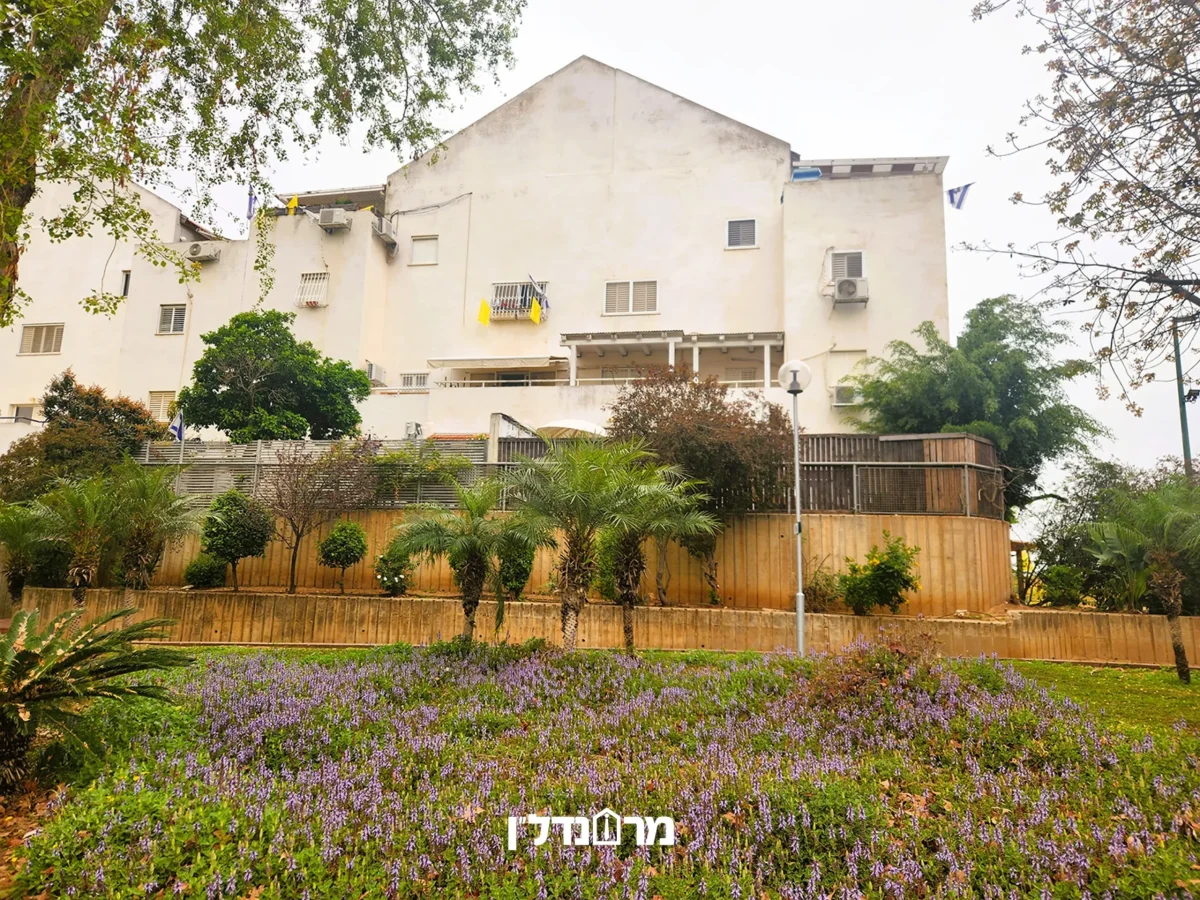 תמונה2