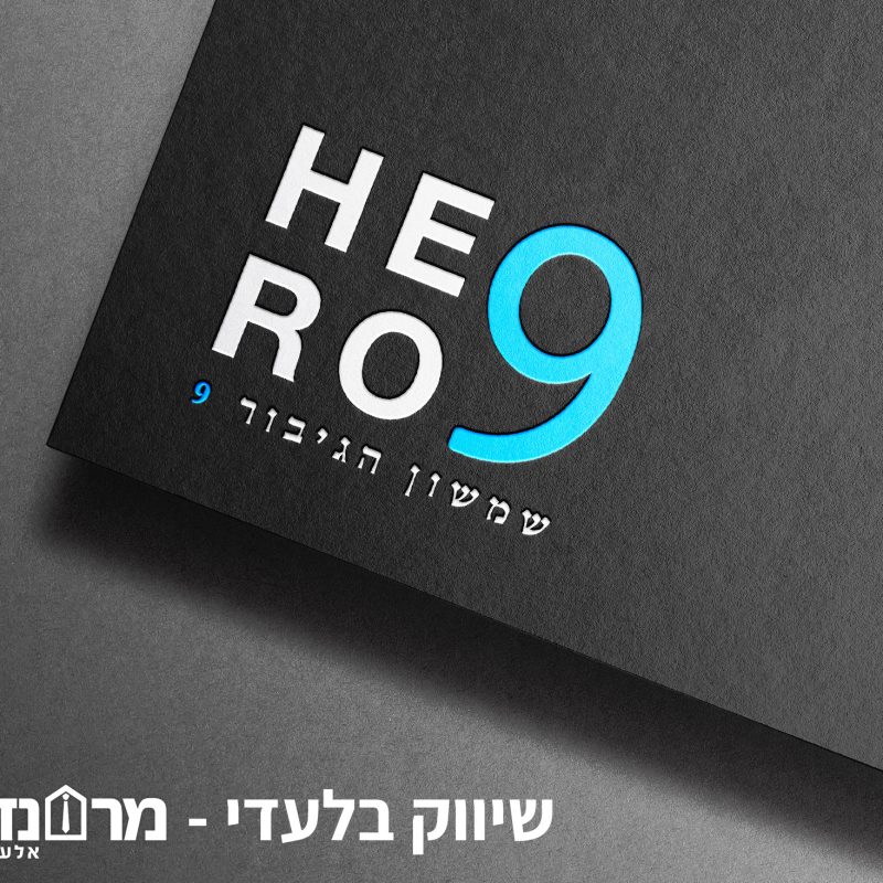 תמונה3 (1)