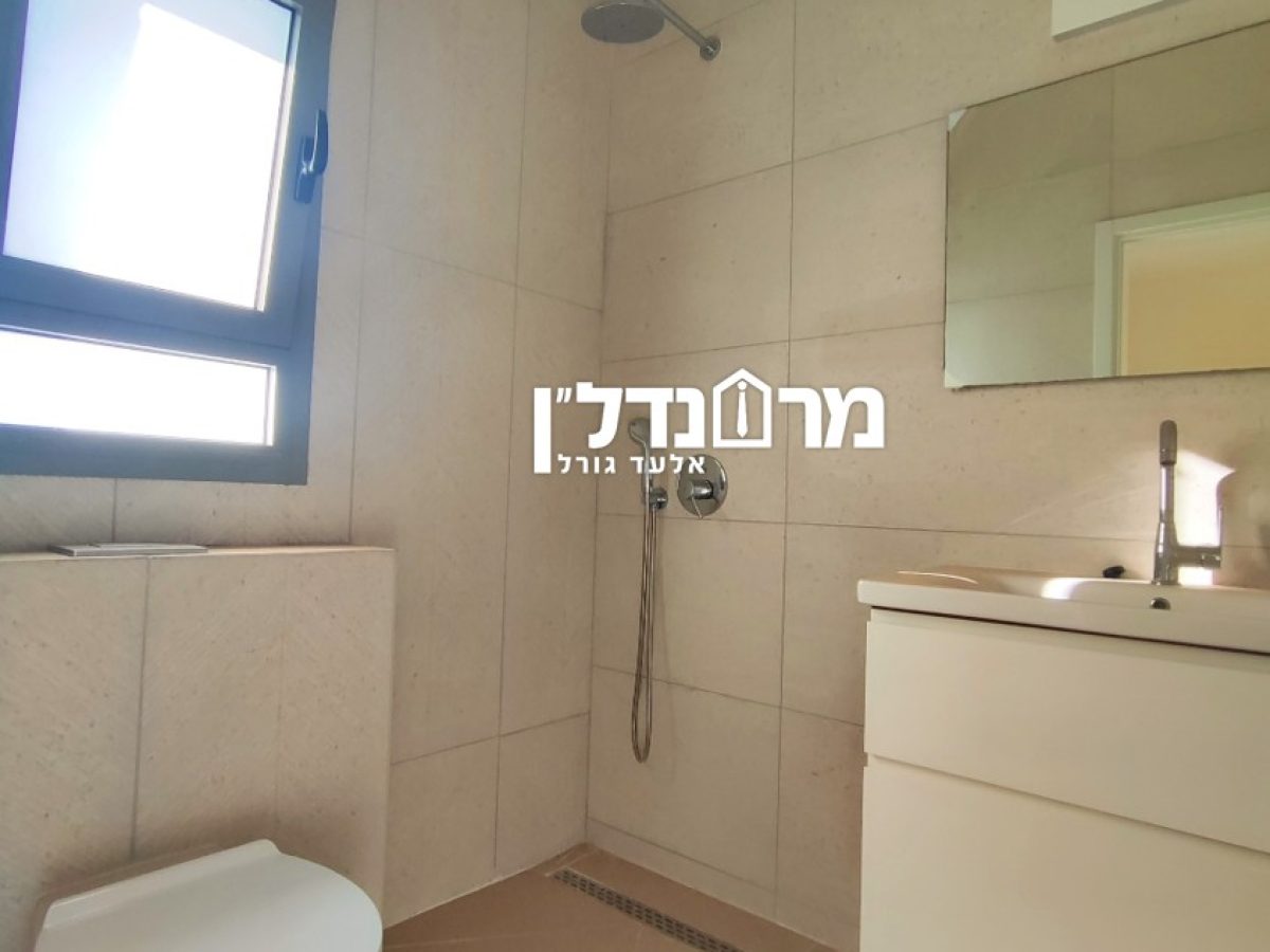 תמונה4