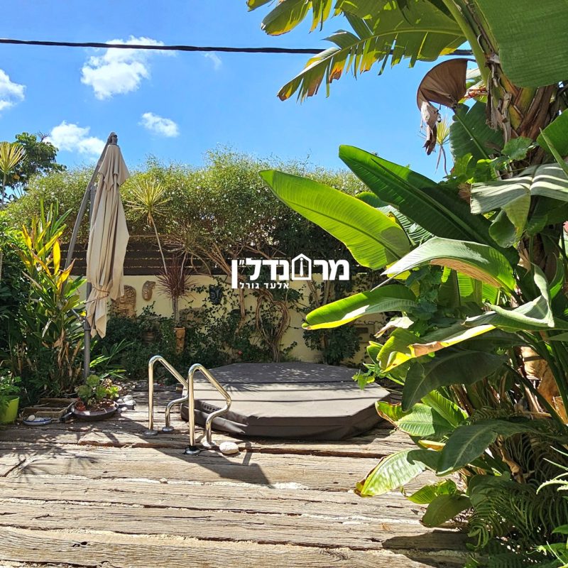 תמונה4