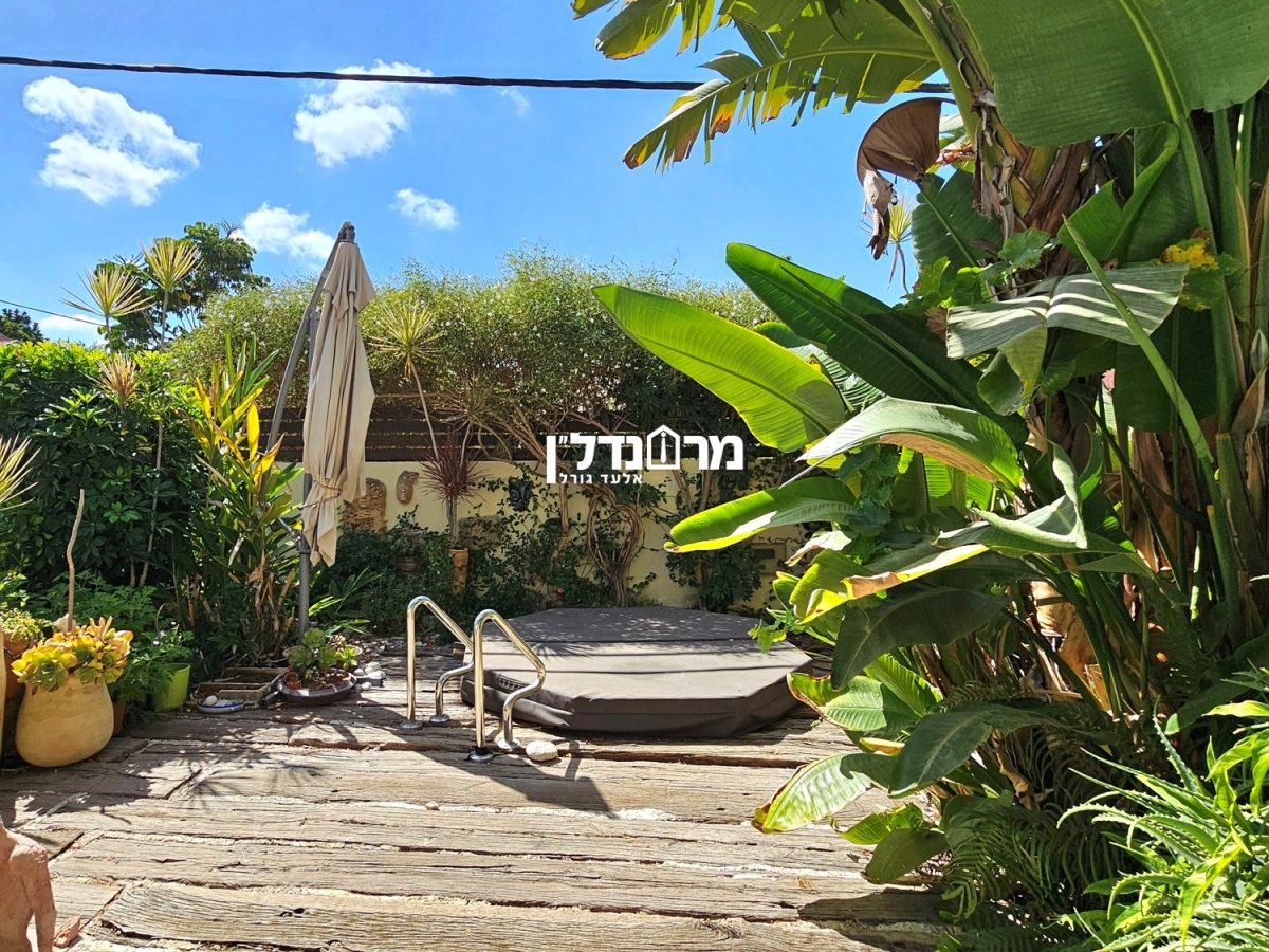 תמונה4