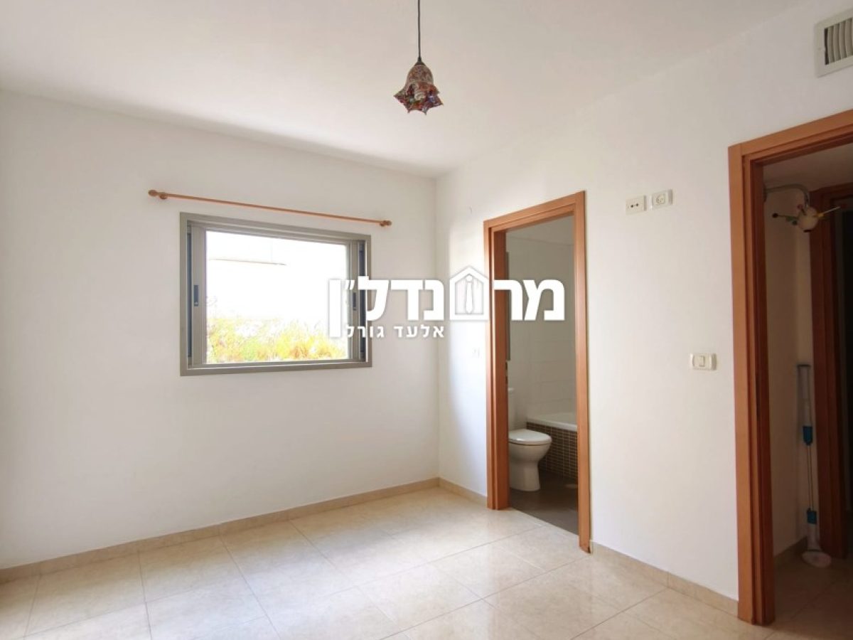 תמונה4