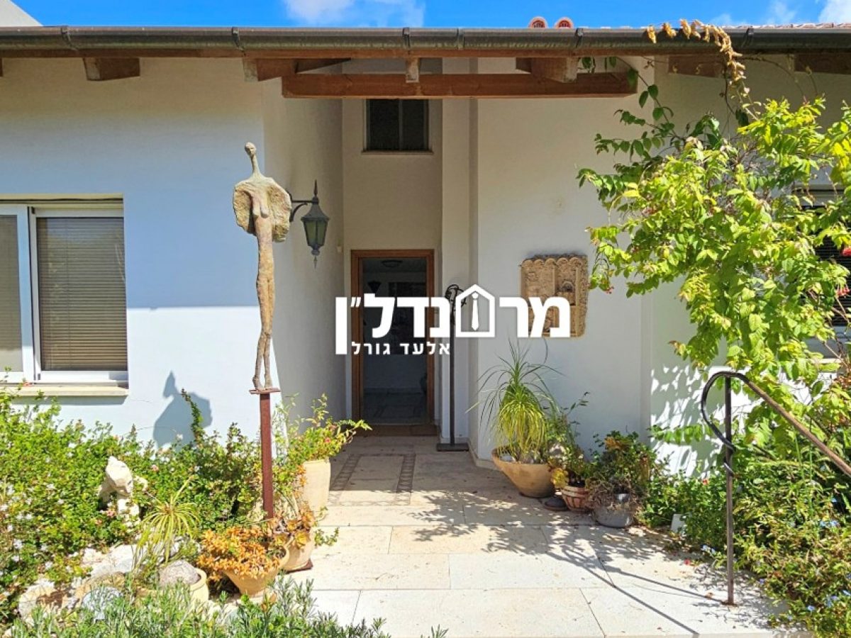 תמונה5