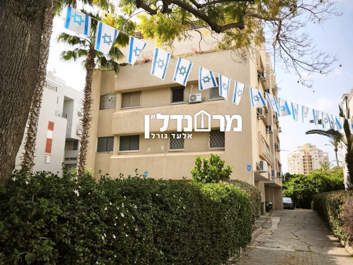 תמונה6