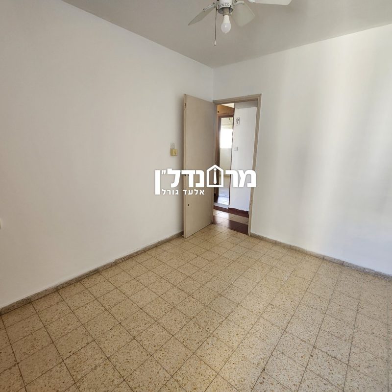 תמונה7