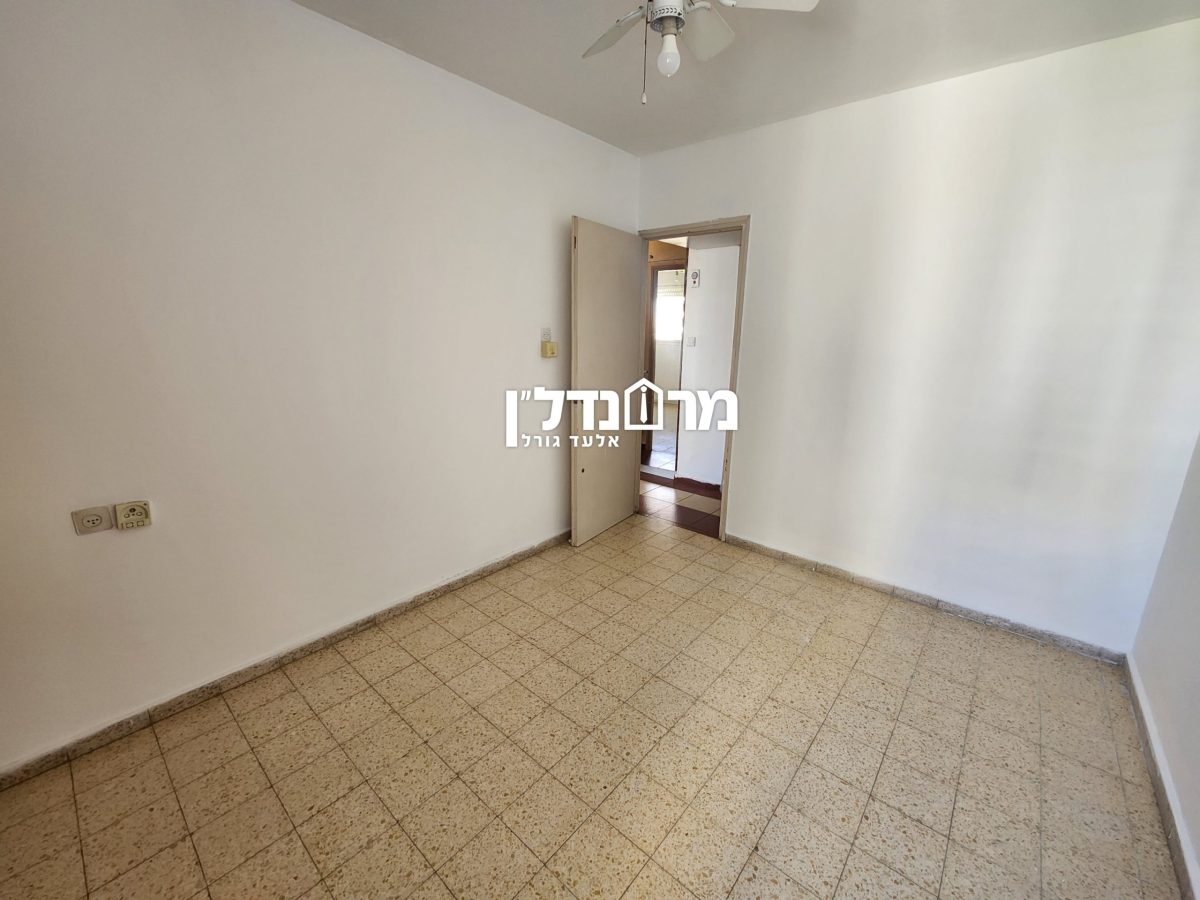 תמונה7