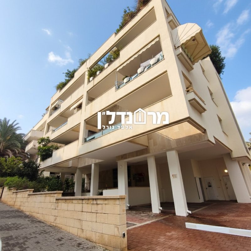 תמונה7