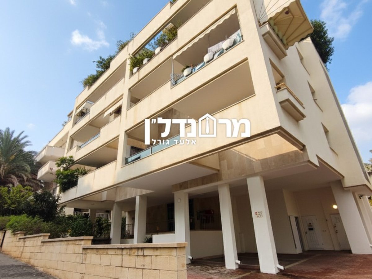 תמונה7
