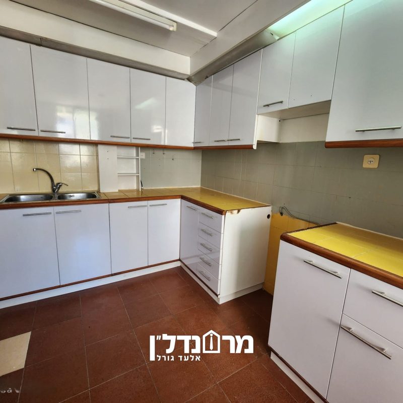 תמונה8