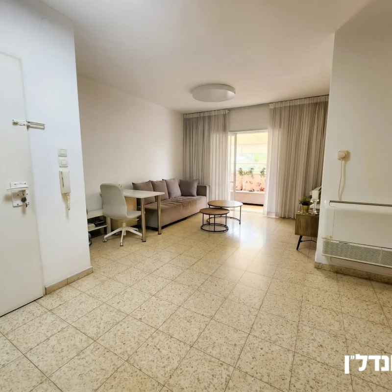 תמונה8