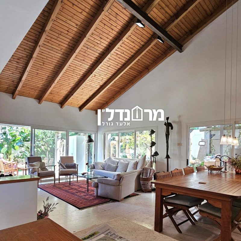 תמונה8