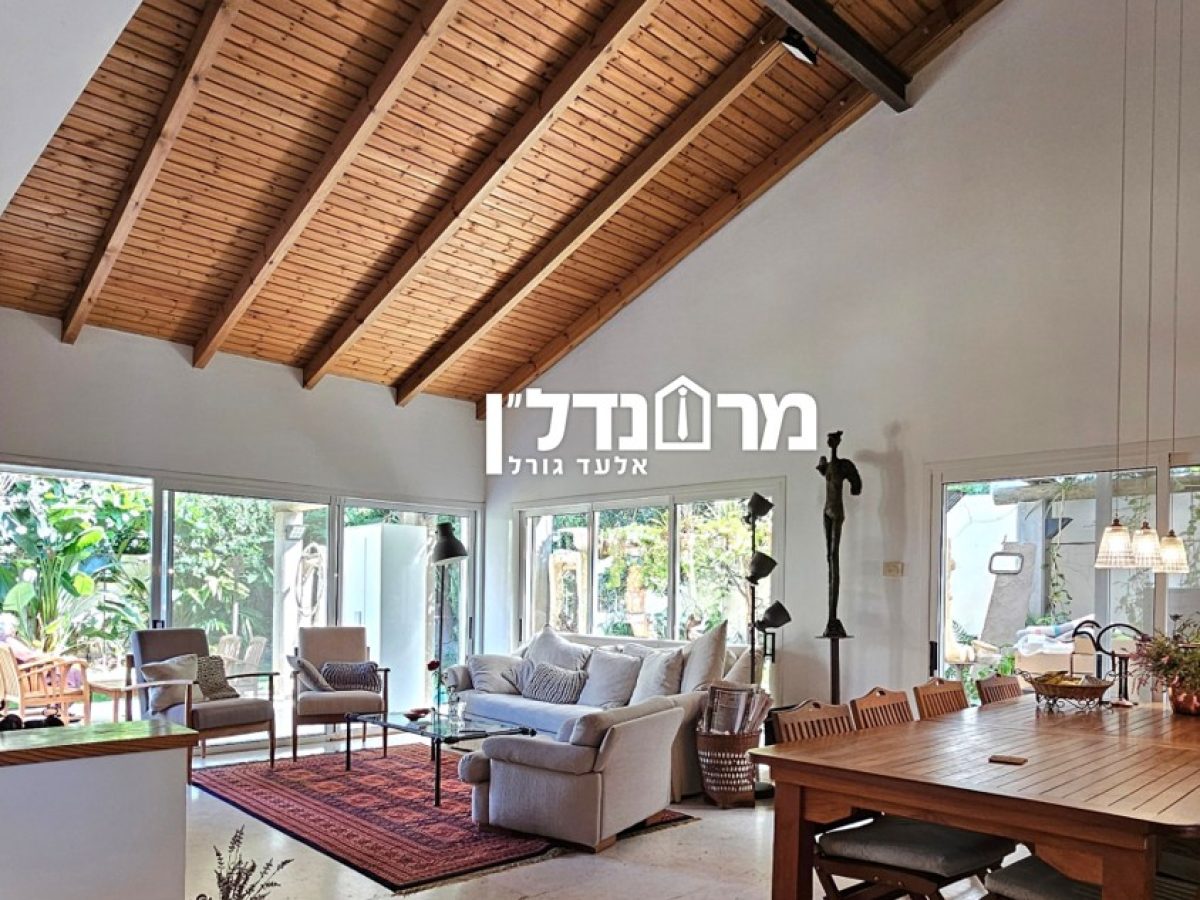 תמונה8