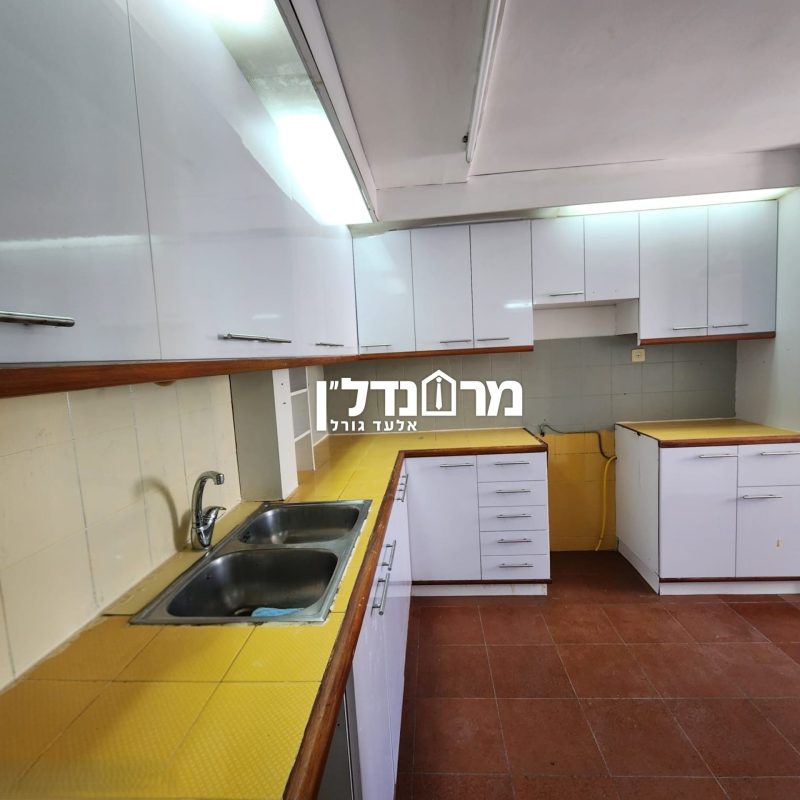 תמונה9