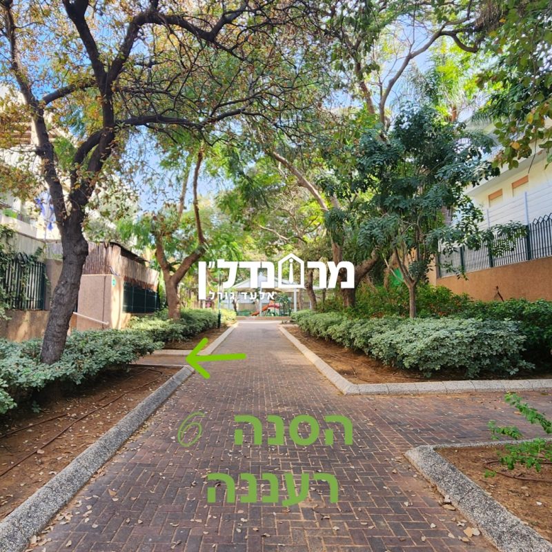 תמונת נושא