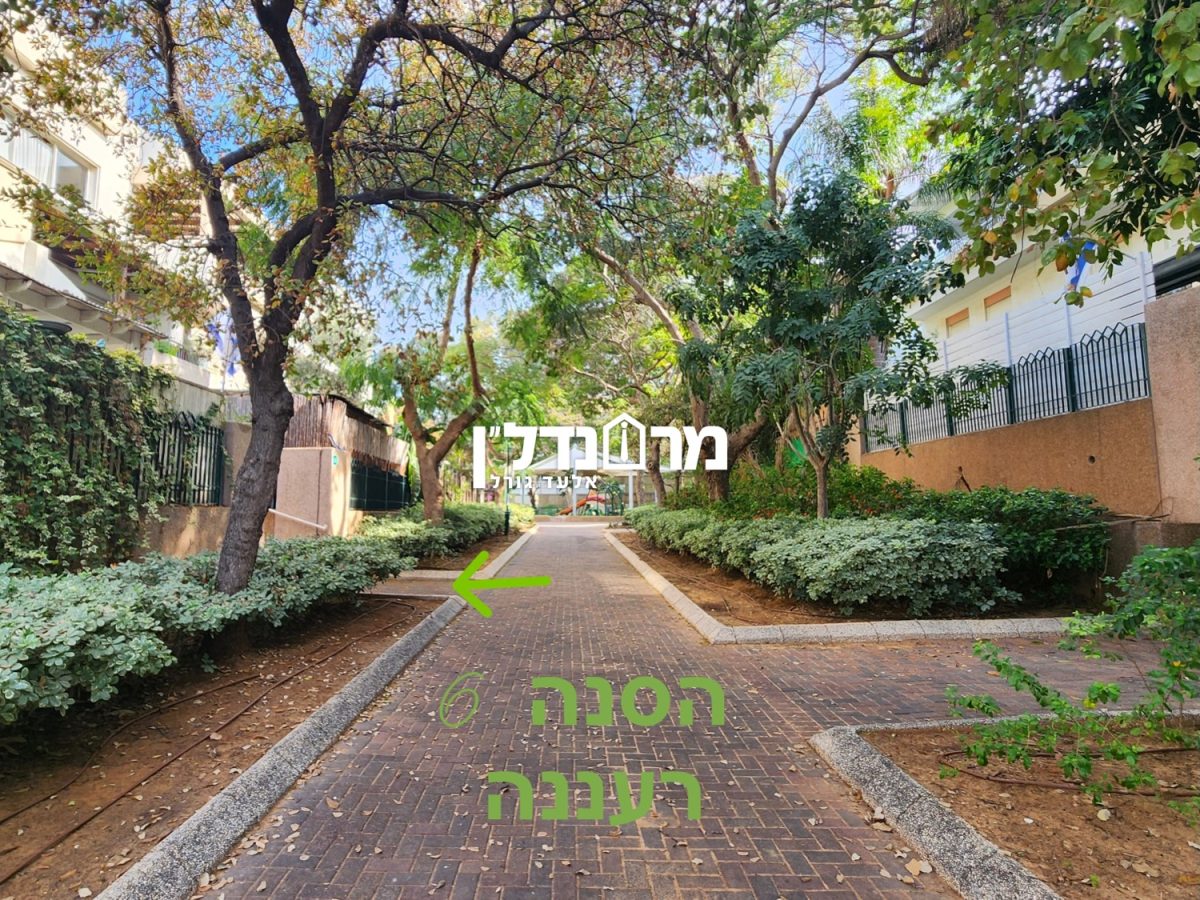 תמונת נושא