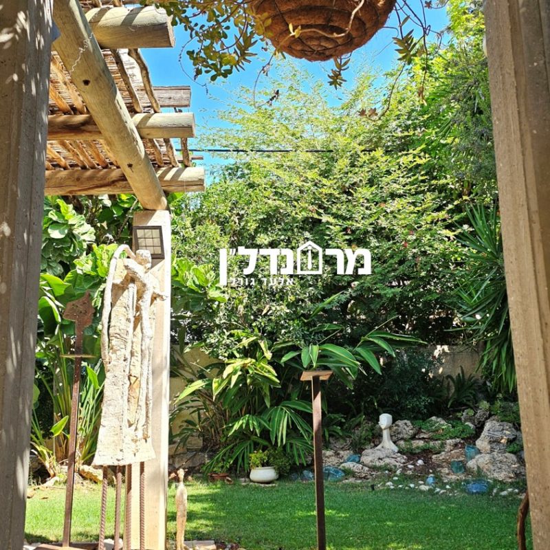 תמררונה7